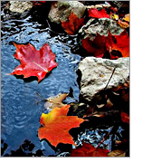 Brock Industries Inc.